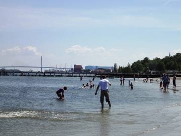 Ferienwohnung - Stralsund - Strand an der Ostsee