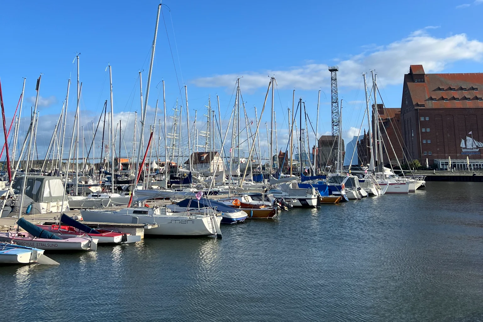 Segelboote im Stralsunder Hafen vor den historischen Backsteingebäuden