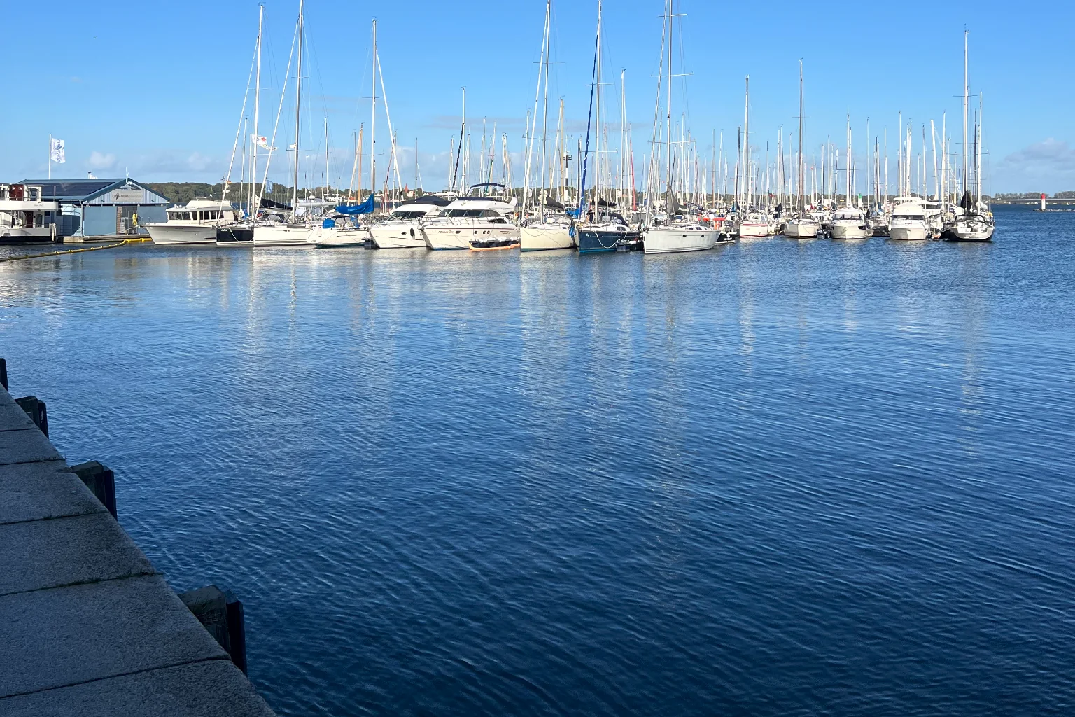 Blick über das Hafenbecken auf Segelyachten im Yachthafen Stralsund